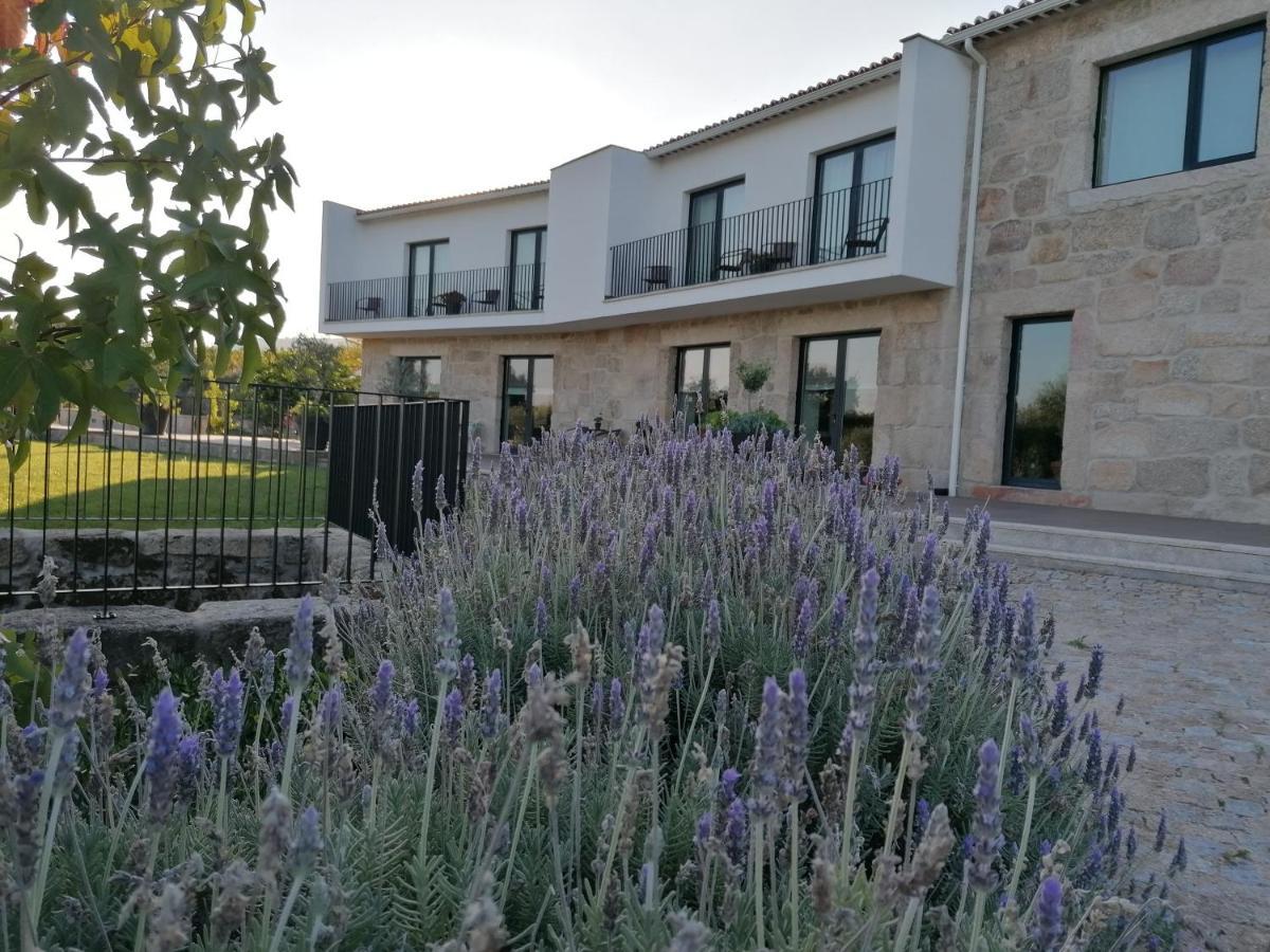 Carvalhal Redondo - Farm House Castelo Novo Экстерьер фото