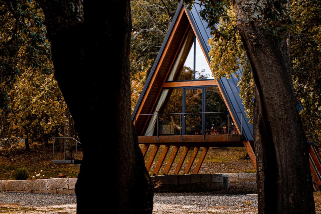 Carvalhal Redondo - Farm House Castelo Novo Экстерьер фото