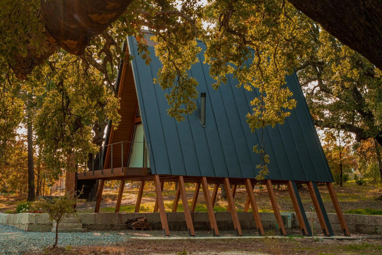 Carvalhal Redondo - Farm House Castelo Novo Экстерьер фото